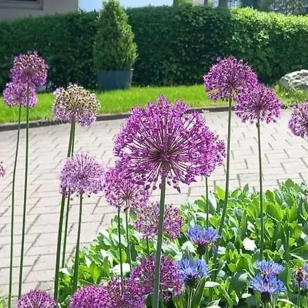 Gerkenhof *